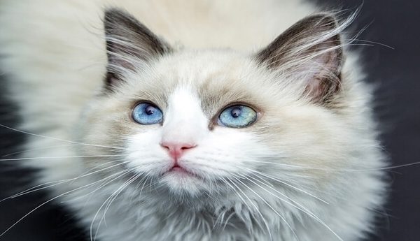 compraventa de stock de material deportivo santander cantabria madrid barcelona españa compraventa de stock de material deportivo santander cantabria madrid barcelona españa